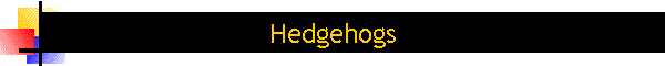Hedgehogs