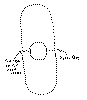 para-2.gif (11219 bytes)