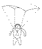 para-3.gif (22971 bytes)